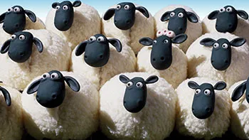 Flock Favourites